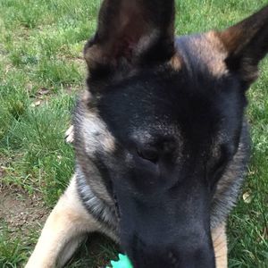 Meet your Posher, Chance